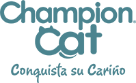 Champion Cat