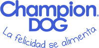 Champion Dog